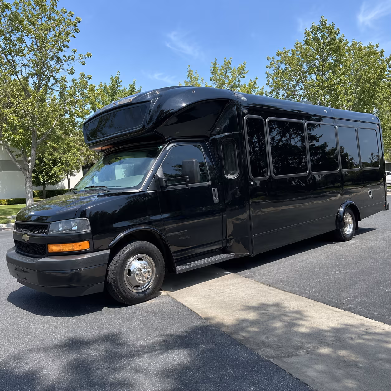 layton 15 passenger party bus