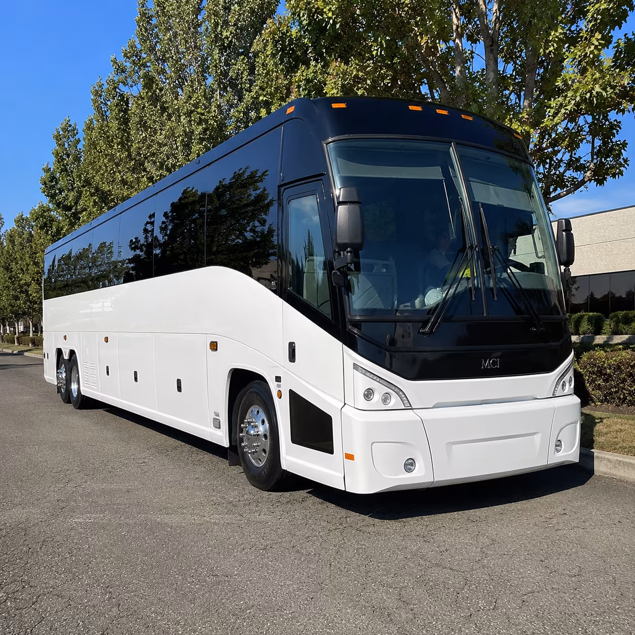 layton 50 passenger charter bus