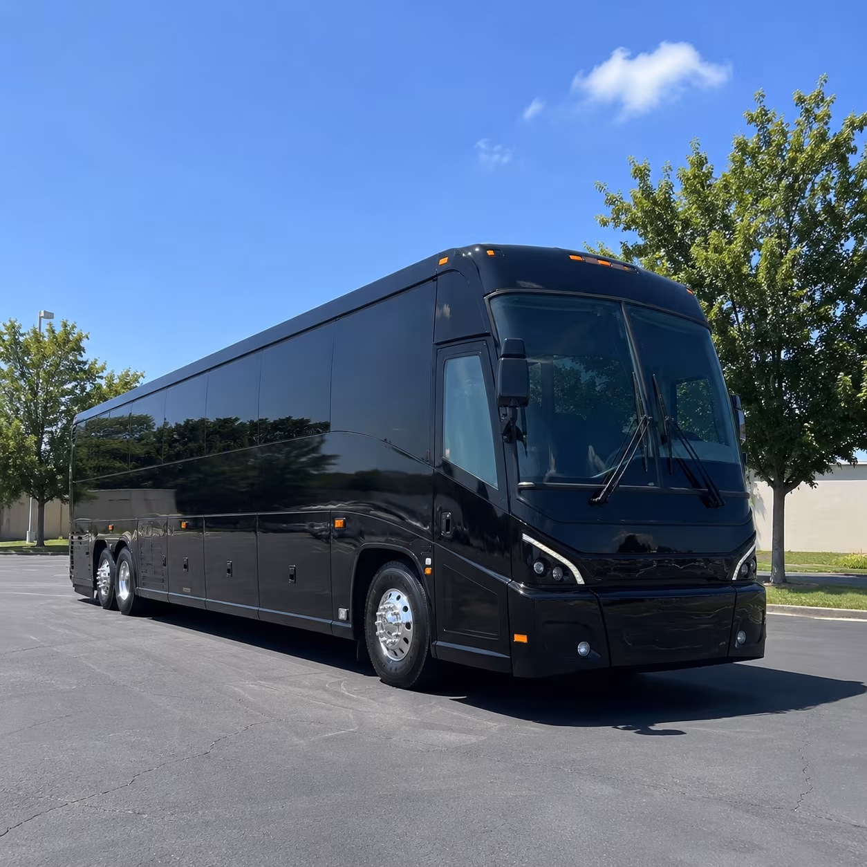 layton 56 passenger charter bus
